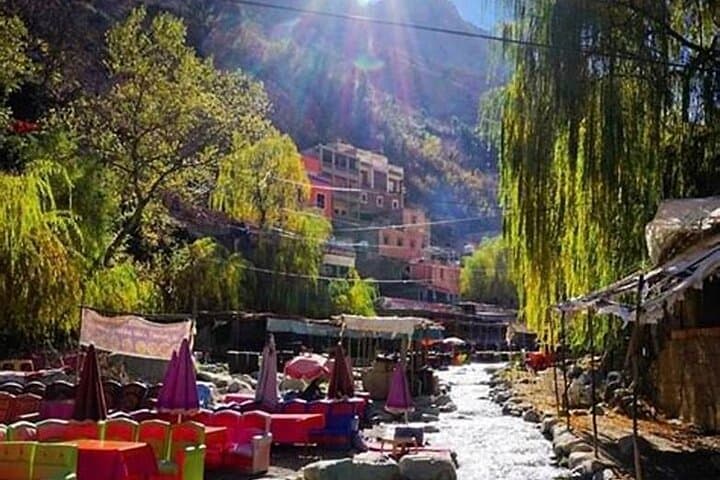 Day Trip to Ourika Valley: Waterfalls, Berber Villages & Argan Cooperatives photo 4