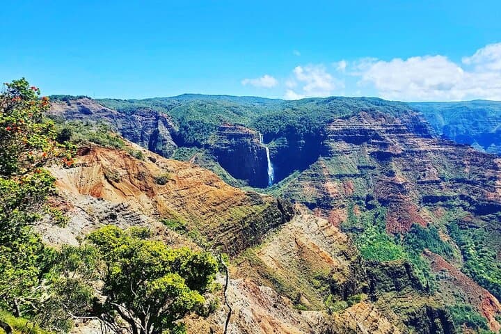 Waimea Canyon Private Tour from Nawiliwili: Kalalau Lookout, South Shore and Kokee
