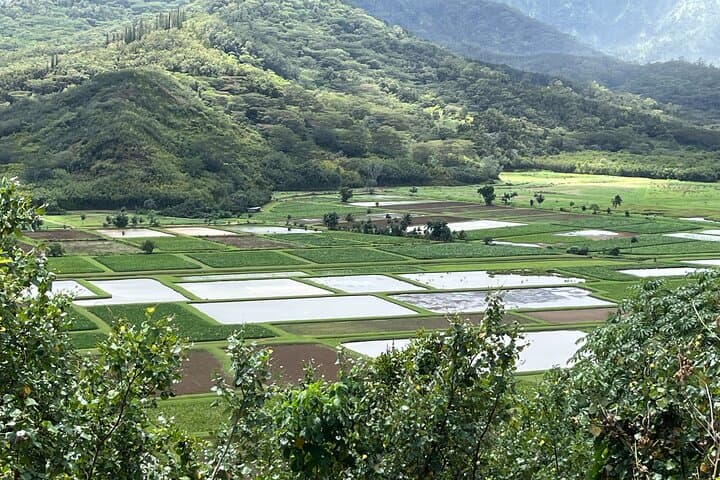 Explore Kauai's Iconic Movie Locations: Private Full-Day Guided Tour from Lihue photo 2