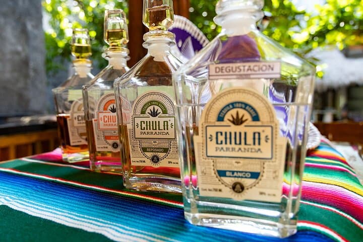 Zip Lines, Cenote Swim & Tequila Tasting — Puerto Morelos Adrenaline Day photo 3