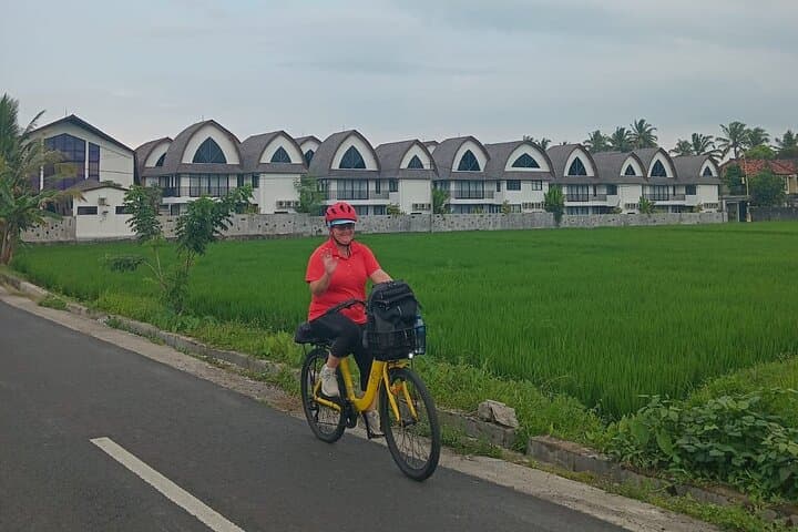 Ubud E-Bike Tour: Rice Fields, Temples & Coffee Plantation Adventure photo 4