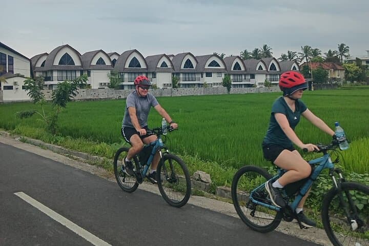 Ubud E-Bike Tour: Rice Fields, Temples & Coffee Plantation Adventure photo 3