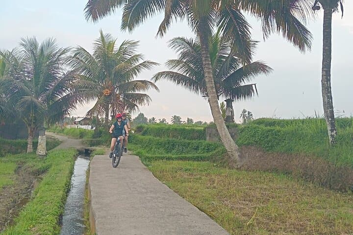 Ubud E-Bike Tour: Rice Fields, Temples & Coffee Plantation Adventure photo 6