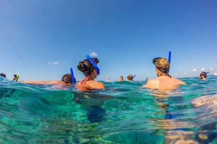 Northern Bali Dolphin Watching and Snorkeling — Lovina Day Tour photo 2