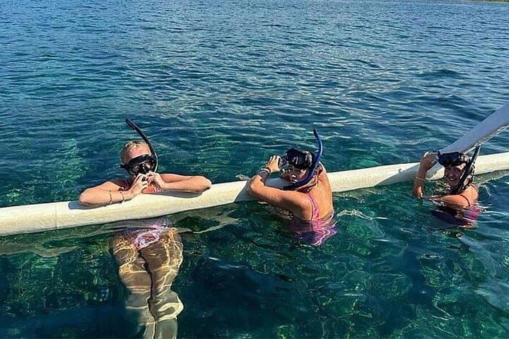 Northern Bali Dolphin Watching and Snorkeling — Lovina Day Tour photo 3