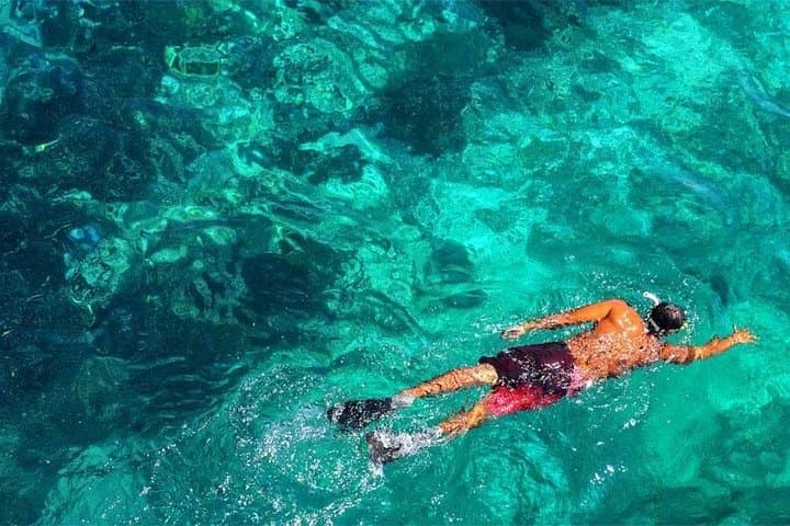 Northern Bali Dolphin Watching and Snorkeling — Lovina Day Tour photo 4