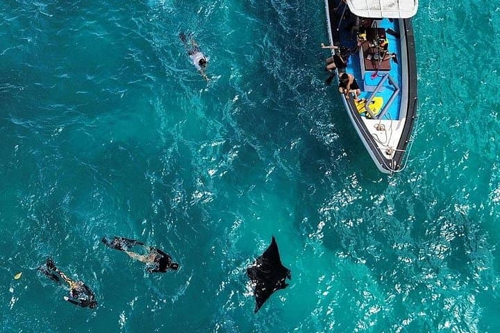 Full-Day Nusa Penida Snorkeling: Manta Bay, Crystal Bay, GT Point & Gamat Bay photo 3