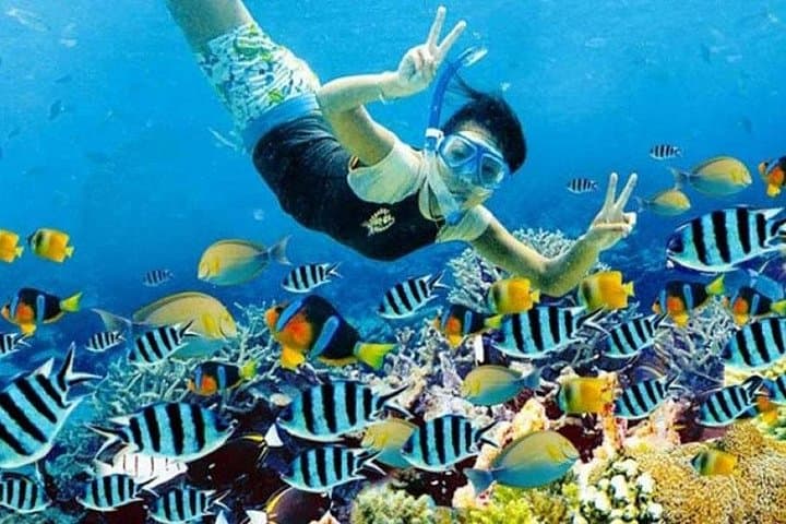 Full-Day Nusa Penida Snorkeling: Manta Bay, Crystal Bay, GT Point & Gamat Bay photo 4