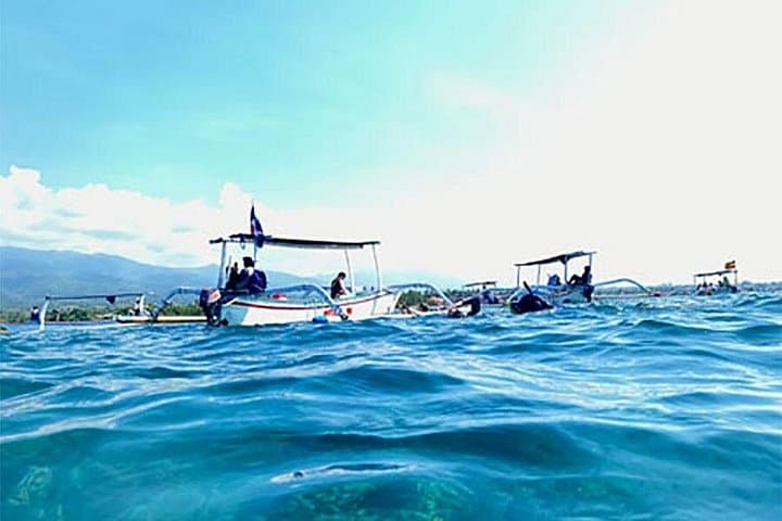 Northern Bali Dolphin Watching and Snorkeling — Lovina Day Tour photo 5