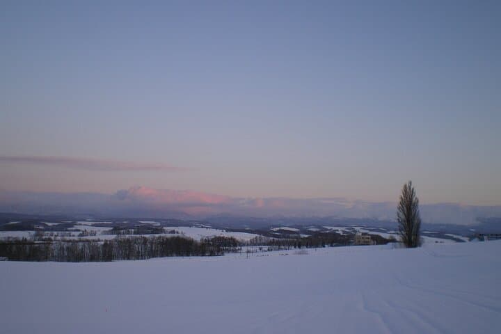Biei & Furano Day Trip from Sapporo: Blue Pond, Lavender, and Shirahige Falls photo 4
