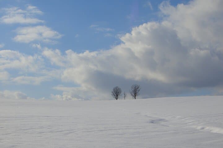 Biei & Furano Day Trip from Sapporo: Blue Pond, Lavender, and Shirahige Falls photo 3