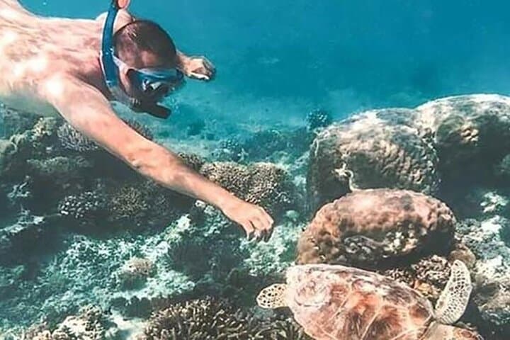 Snorkel Blue Lagoon & Tanjung Jepun — Padangbai’s Beginner Reefs photo 2