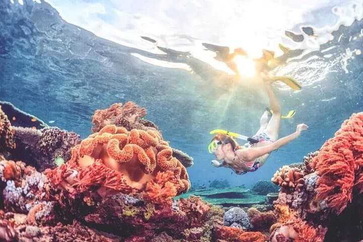 Snorkel Blue Lagoon & Tanjung Jepun — Padangbai’s Beginner Reefs