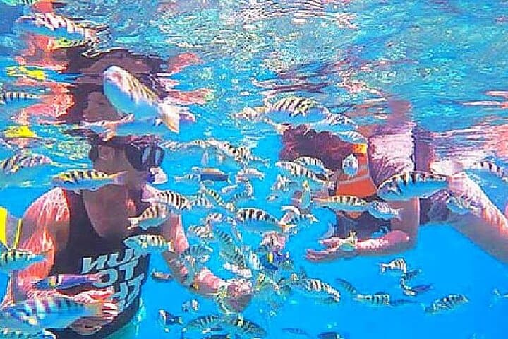 Snorkel Blue Lagoon & Tanjung Jepun — Padangbai’s Beginner Reefs photo 3