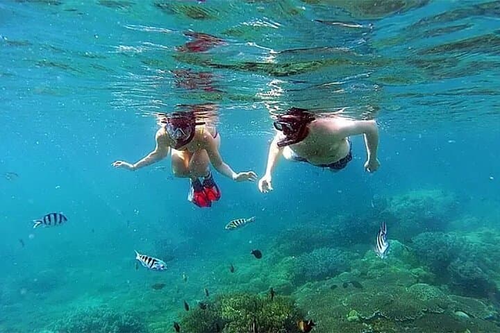 Snorkel Blue Lagoon & Tanjung Jepun — Padangbai’s Beginner Reefs photo 4
