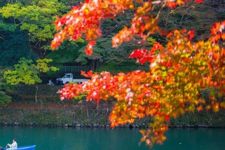 Arashiyama, Sanzen-in & Sagano Romantic Train: Kyoto Day Tour from Osaka photo 4