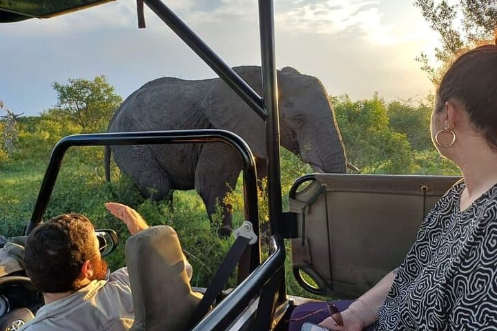 Full-Day Private Safari in Kruger National Park: Big Five Game Drive