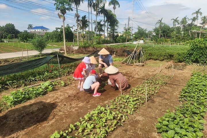 Hoi An Eco Village Experience: Fishing, Buffalo Rides, Tra Que Farming & Local Lunch