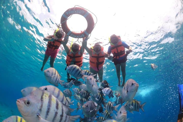 Clear Boat Ride, Snorkel & Drinks in Cozumel — Glass-Bottom Tour for Cruise Guests photo 6