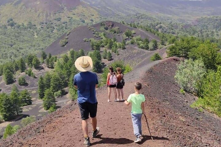 Etna North Trekking and Wine Tasting: Private Day Hike with Lava Tube Visit