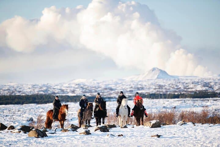 Icelandic Horseback Riding Tour from Reykjavík — Lava Fields & Tölt photo 5