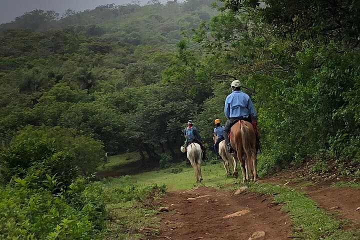 Buena Vista Zipline, Horses & Hot Springs at Rincón de la Vieja photo 3