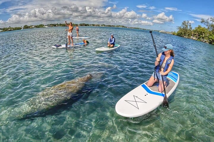 Paddle Boarding Eco Adventure at John D. MacArthur State Park, Singer Island photo 2