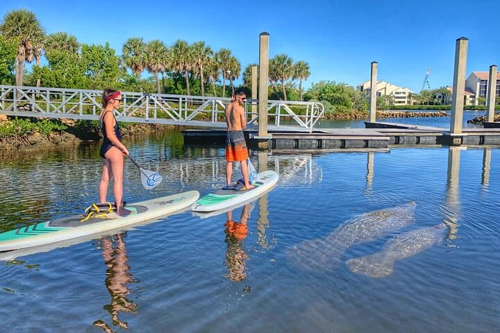 Paddle Boarding Eco Adventure at John D. MacArthur State Park, Singer Island photo 3