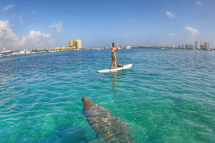 Private Paddle Boarding Adventure to Peanut Island from Singer Island photo 2