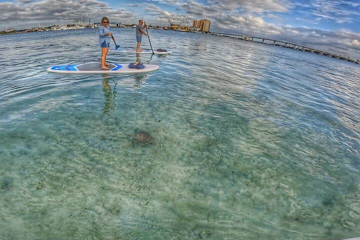 Private Paddle Boarding Adventure to Peanut Island from Singer Island photo 5