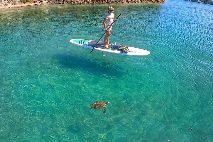Private Paddle Boarding Adventure to Peanut Island from Singer Island photo 3