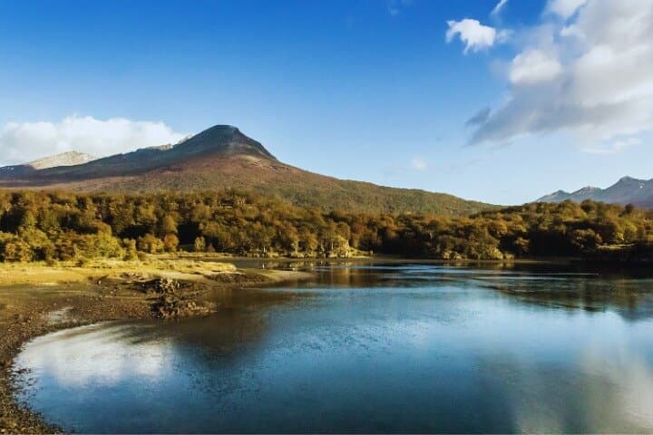 Explore Tierra del Fuego National Park: Private Half-Day Tour from Ushuaia photo 4