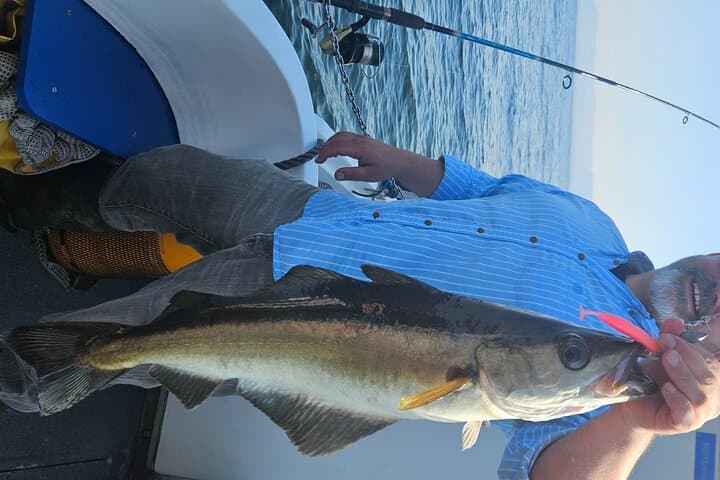 3-Hour Mackerel Fishing & Sightseeing Charter — Rosses Point, Sligo Bay photo 2