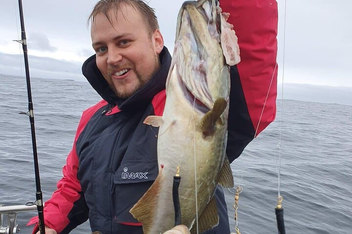 3-Hour Mackerel Fishing & Sightseeing Charter — Rosses Point, Sligo Bay photo 5