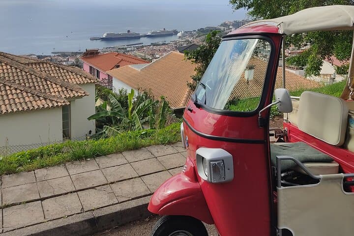 Tuk-Tuk Tour to Funchal Botanical Garden: Quick City Sights & Plant Collections photo 2