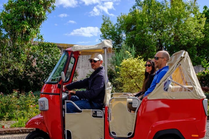 Tuk-Tuk Tour to Funchal Botanical Garden: Quick City Sights & Plant Collections photo 4