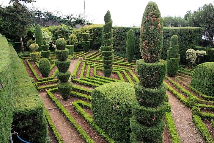 Tuk-Tuk Tour to Funchal Botanical Garden: Quick City Sights & Plant Collections photo 5