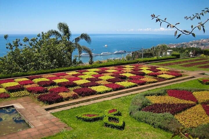 Tuk-Tuk Tour to Funchal Botanical Garden: Quick City Sights & Plant Collections