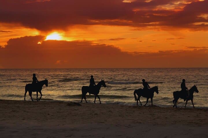 Sunset Horseback Ride on Punta Borinquen Beach — Aguadilla, Puerto Rico
