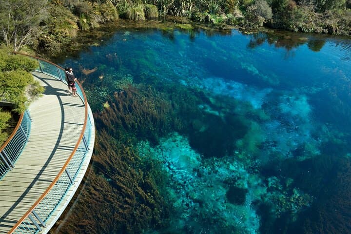 Abel Tasman to Golden Bay: Full-Day Cruise to Totaranui, Te Waikoropupu & Seal Colonies