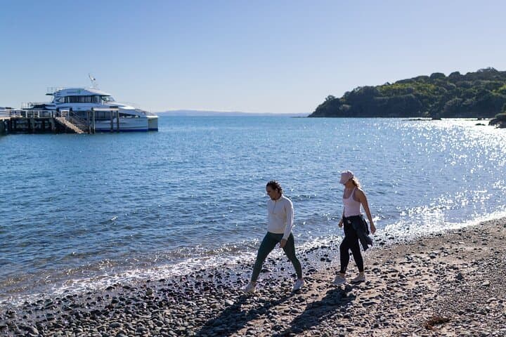 Tiritiri Matangi Island Discovery: Guided Ferry Trip From Auckland photo 4