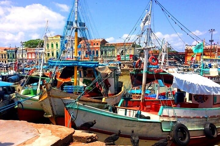 Belem & Marajó Island: 10-Day Amazon Cultural and Wildlife Tour
