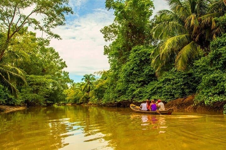 Belem & Marajó Island: 10-Day Amazon Cultural and Wildlife Tour photo 6