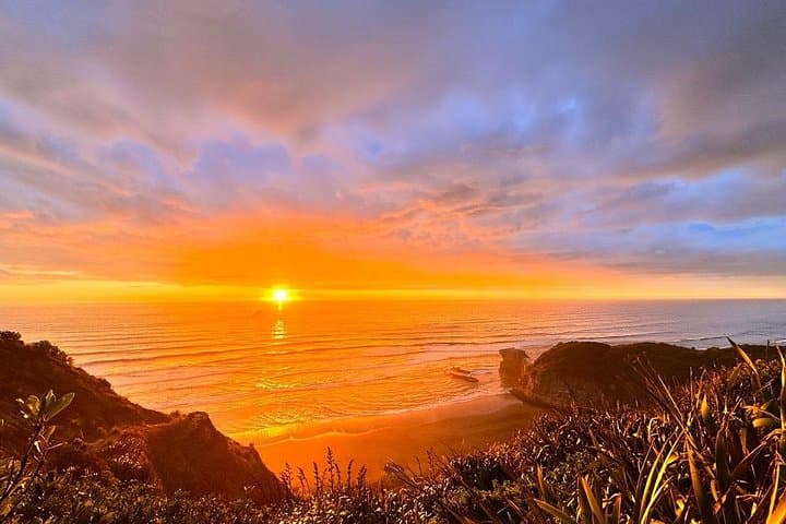 Auckland Sunset Tour: Thermal Pools, Historic Wine Tasting & Muriwai Gannet Colony photo 1