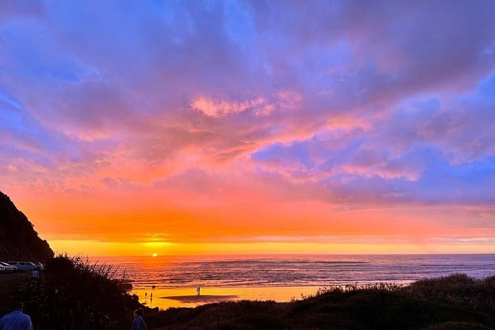 Auckland Sunset Tour: Thermal Pools, Historic Wine Tasting & Muriwai Gannet Colony photo 2