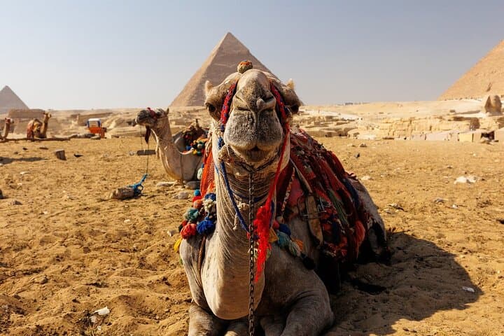 Private Giza Pyramids Tour: VIP Visit to the Great Pyramid, Sphinx & Camel Ride photo 2