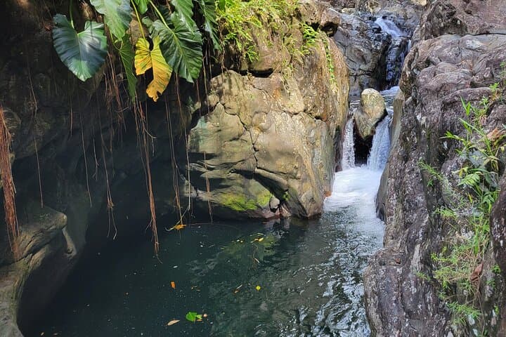 El Yunque Rainforest & Luquillo Kiosk Day Trip: Hike, Swim, and Local Eats photo 2