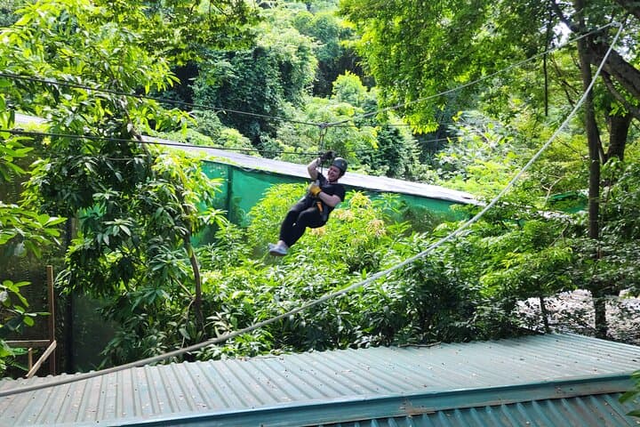 Roatán Monkey and Sloth Jungle Zipline and Island Panorama Tour photo 5