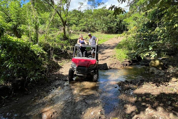 St. Kitts Dune Buggy Jungle Ride: Off-Road Views of Mount Liamuiga & Brimstone Hill photo 2