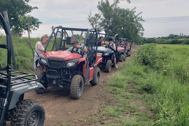 St. Kitts Dune Buggy Jungle Ride: Off-Road Views of Mount Liamuiga & Brimstone Hill photo 6